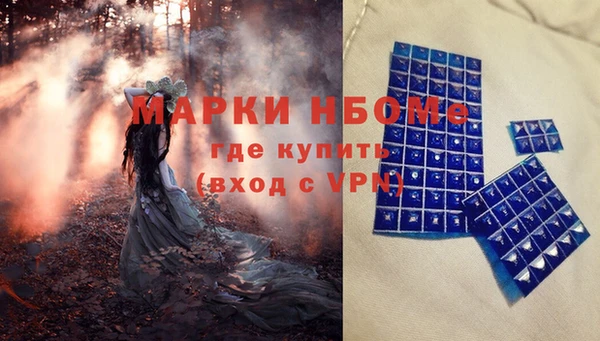 apvp Алексин