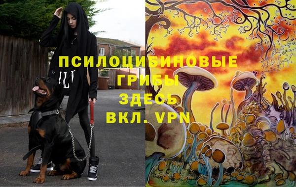 прущий лед Нефтекумск