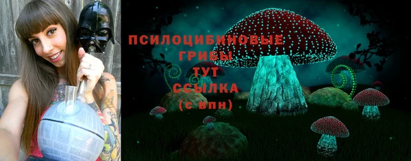 прущий лед Алзамай